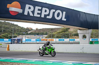Green Bikes